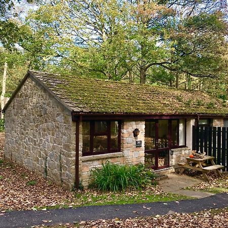 Cosy Woodland Home Uny Lelant ภายนอก รูปภาพ