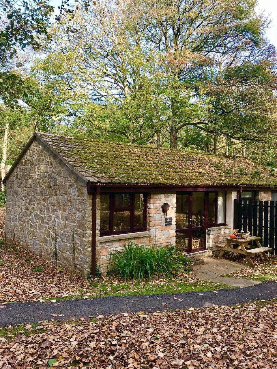 Cosy Woodland Home Uny Lelant ภายนอก รูปภาพ