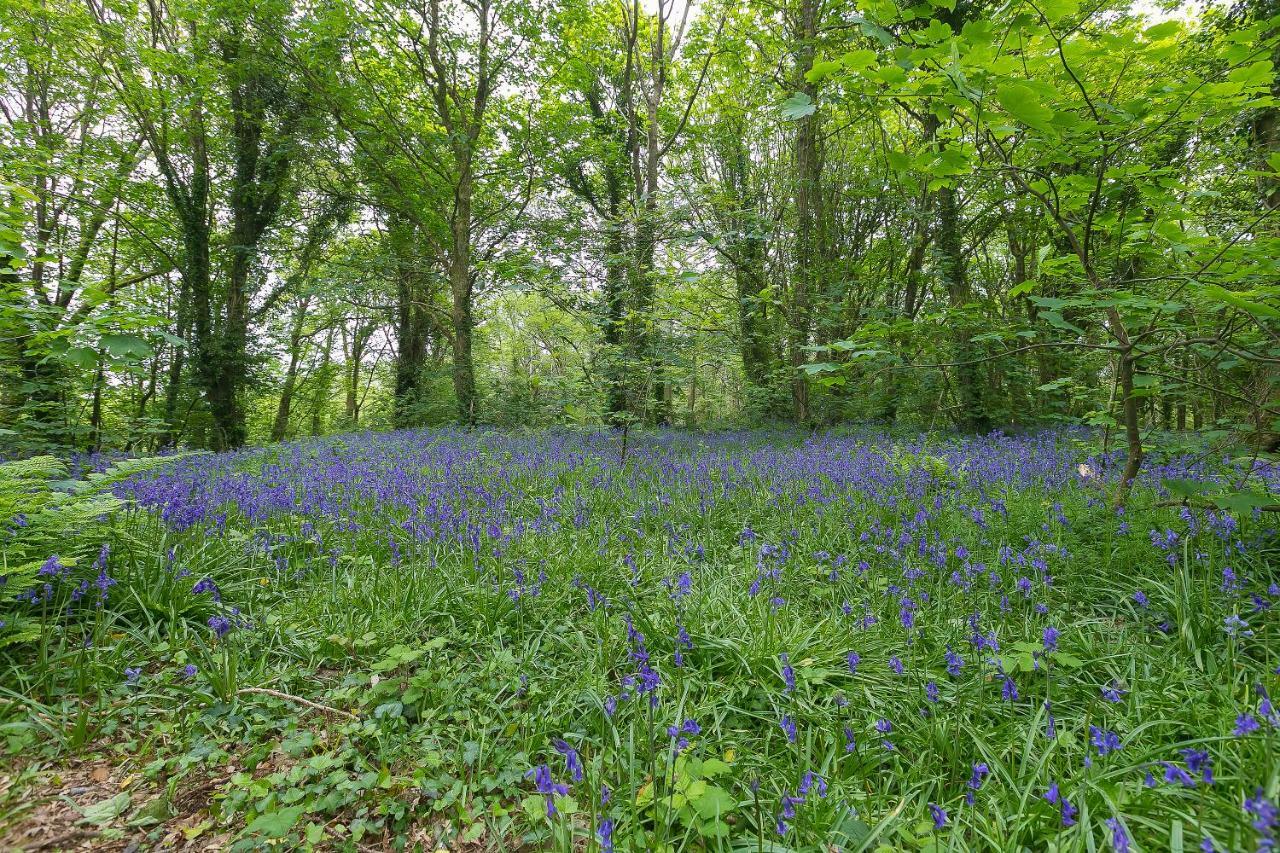 Cosy Woodland Home Uny Lelant ภายนอก รูปภาพ