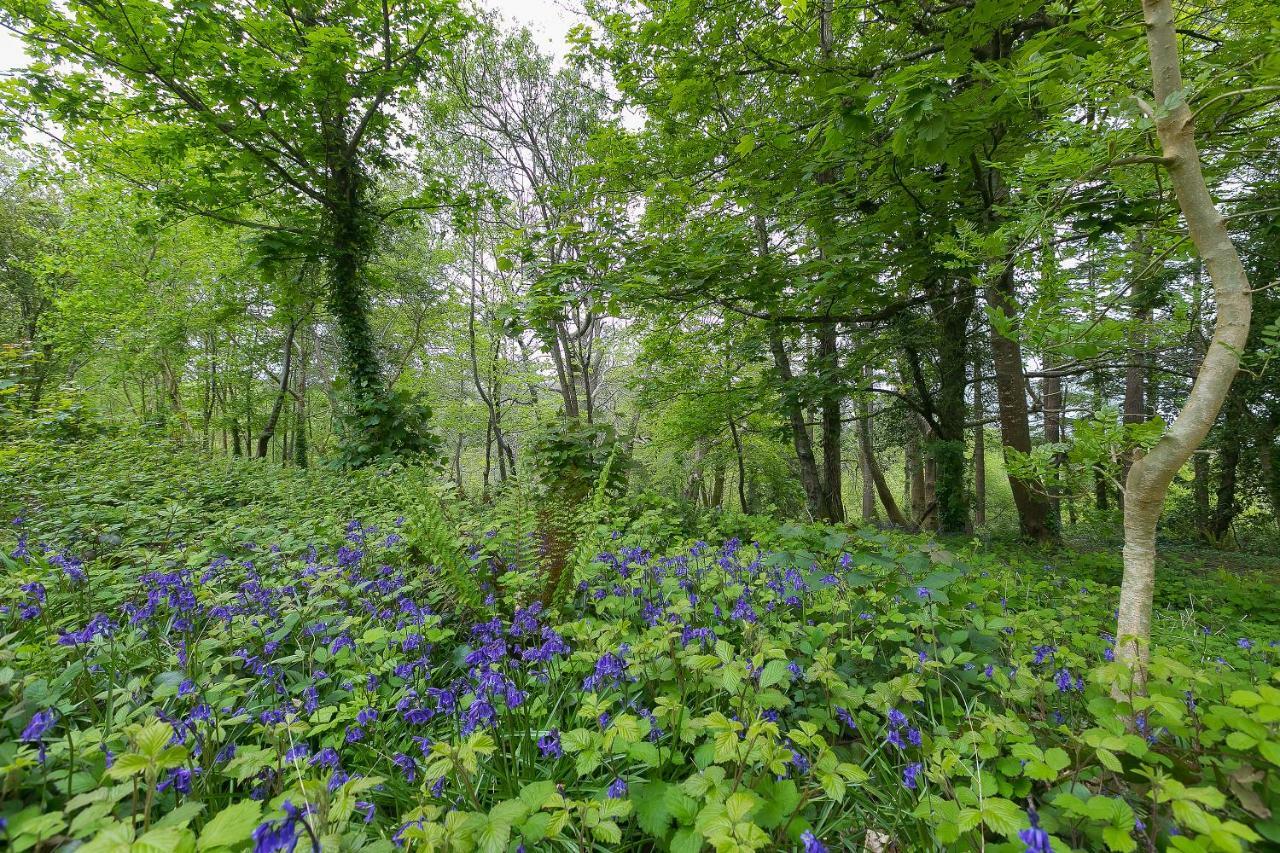 Cosy Woodland Home Uny Lelant ภายนอก รูปภาพ